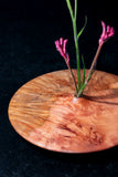 Myrtle Burl dry vase